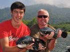 Giant Snakehead