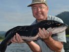 Giant Snakehead