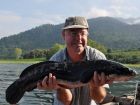 Giant Snakehead