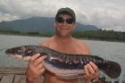 Giant Snakehead