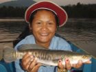 Giant Snakehead