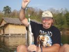 Giant Snakehead