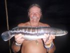 Giant Snakehead