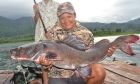 Thai Redtail Catfish