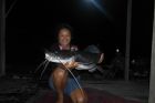 Thai Redtail Catfish