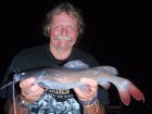 Thai Redtail Catfish