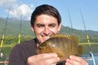 Nandid Perch