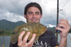 Nandid Perch