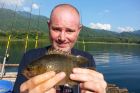 Nandid Perch