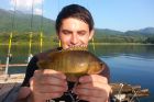 Nandid Perch