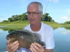 Nandid Perch