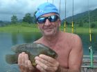 Nandid Perch