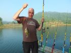 Nandid Perch