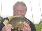 Nandid Perch