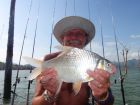 Smith&#039;s Barb