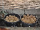 Carp Swim Prebaiting