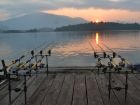 Wallago Attu Fishing