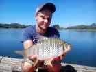 Java Barb