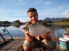 Java Barb