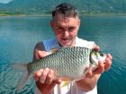 Java Barb