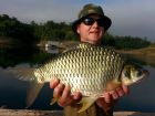 Java Barb