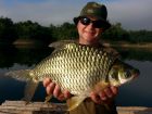 Java Barb