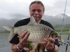 Java Barb