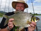 Java Barb