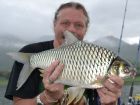 Java Barb