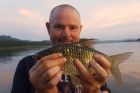 Java Barb