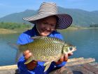Java Barb