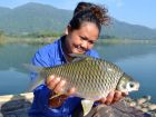 Java Barb