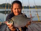 Java Barb