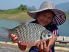 Java Barb