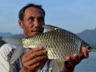 Java Barb