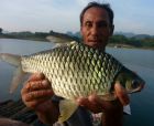 Java Barb