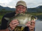 Java Barb