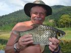 Java Barb