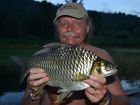 Java Barb