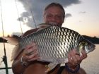Java Barb