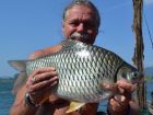 Java Barb