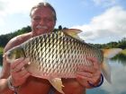 Java Barb