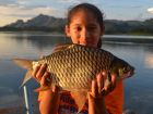 Java Barb