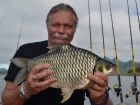 Java Barb