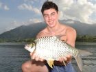 Java Barb