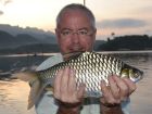 Java Barb