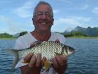 Java Barb