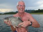 Java Barb