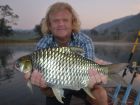Java Barb