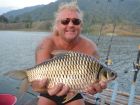 Java Barb